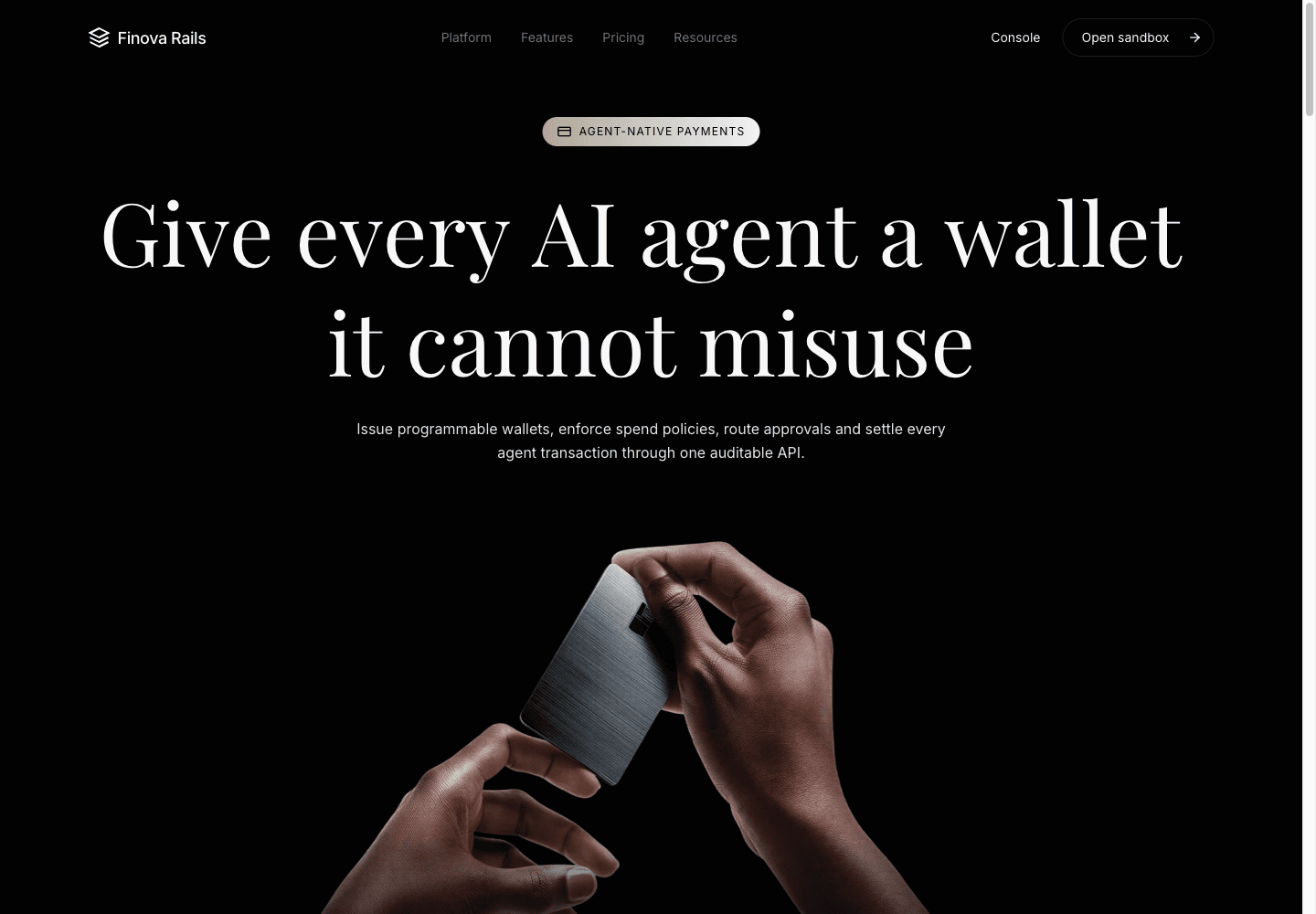 Payments platform — Website preview